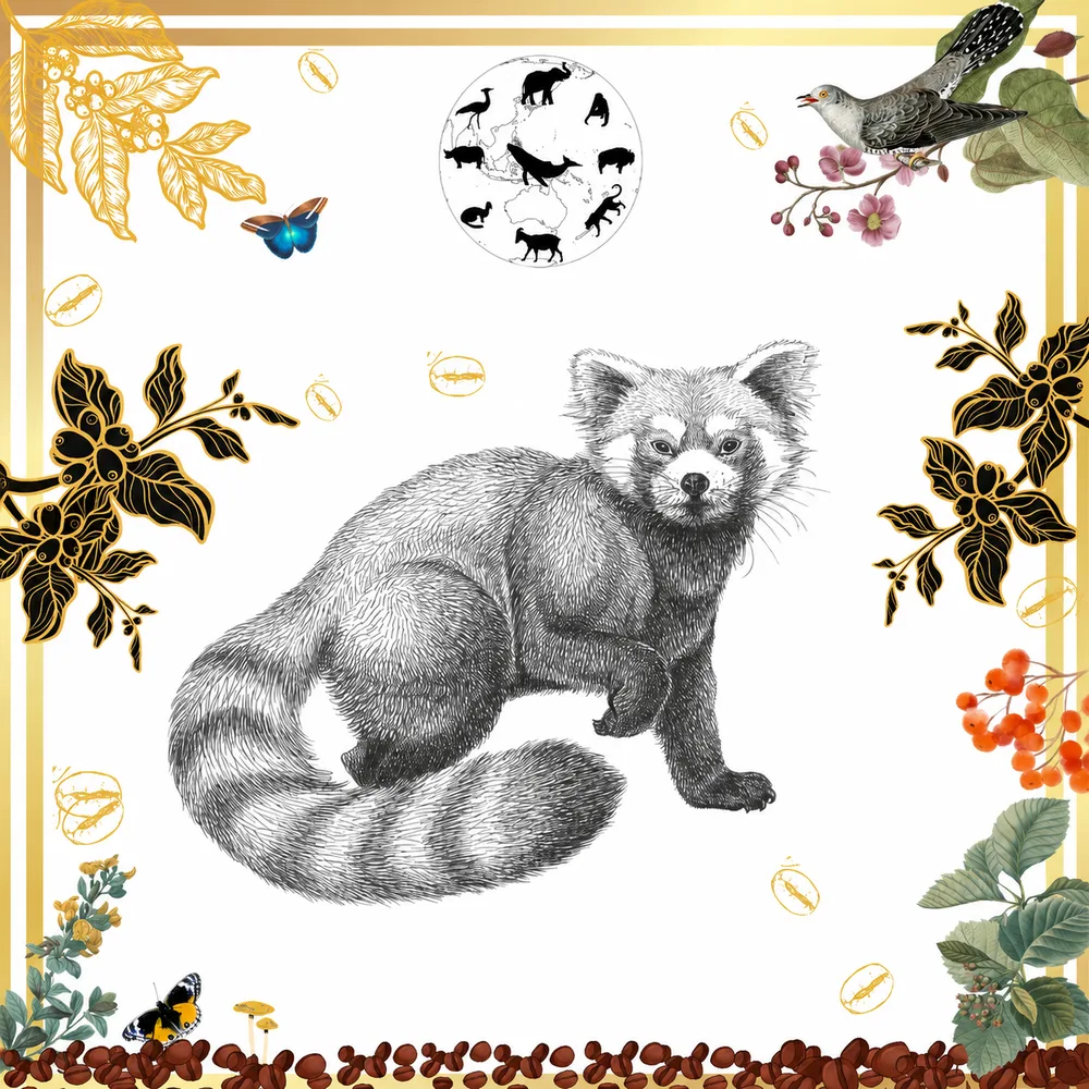 Wild Red Panda Coffee Beans